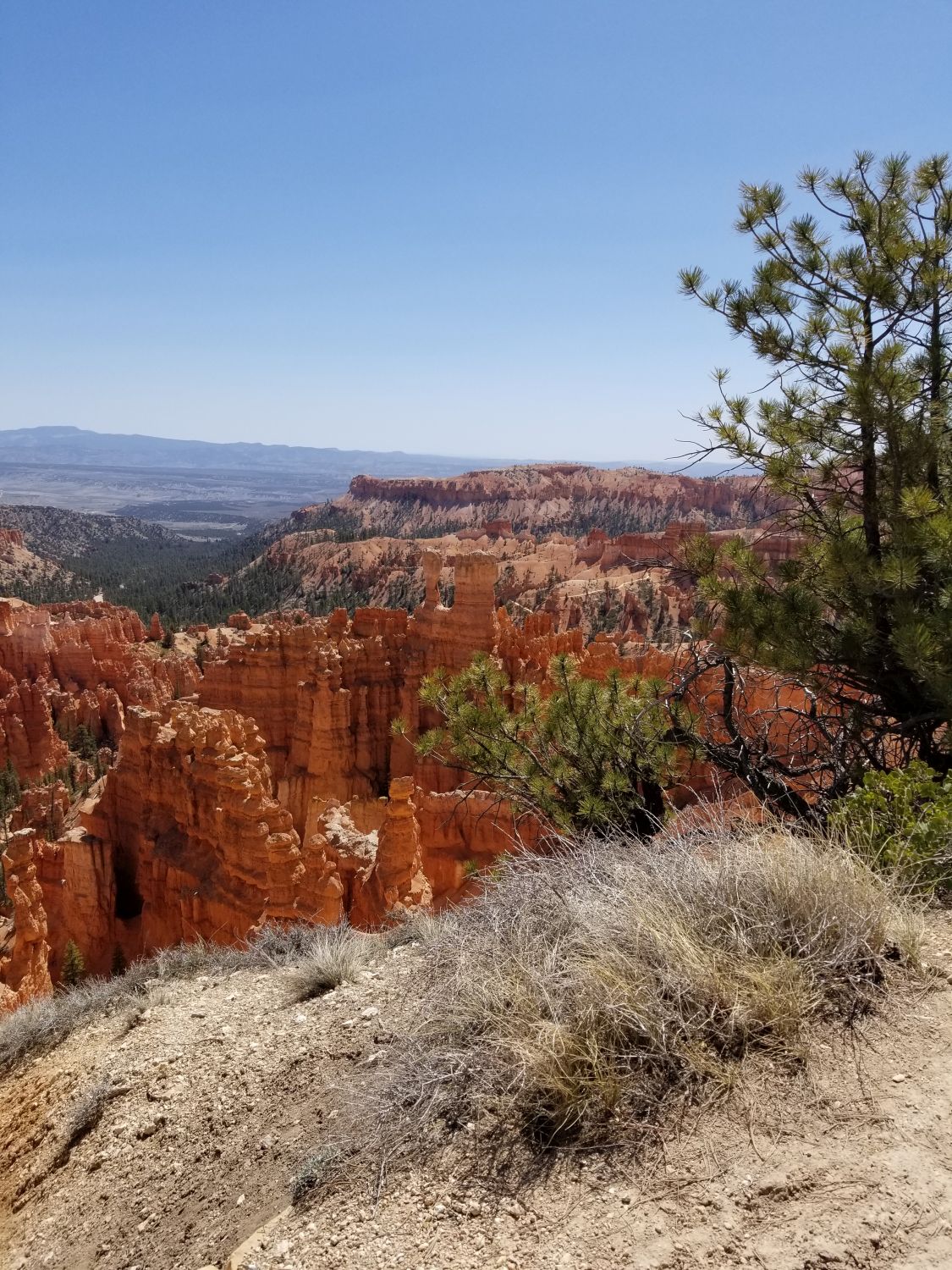 Sunset Point to Sunrise Point 